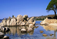 爱游戏体育-奥地利队横扫瑞典队，张继科高光表现