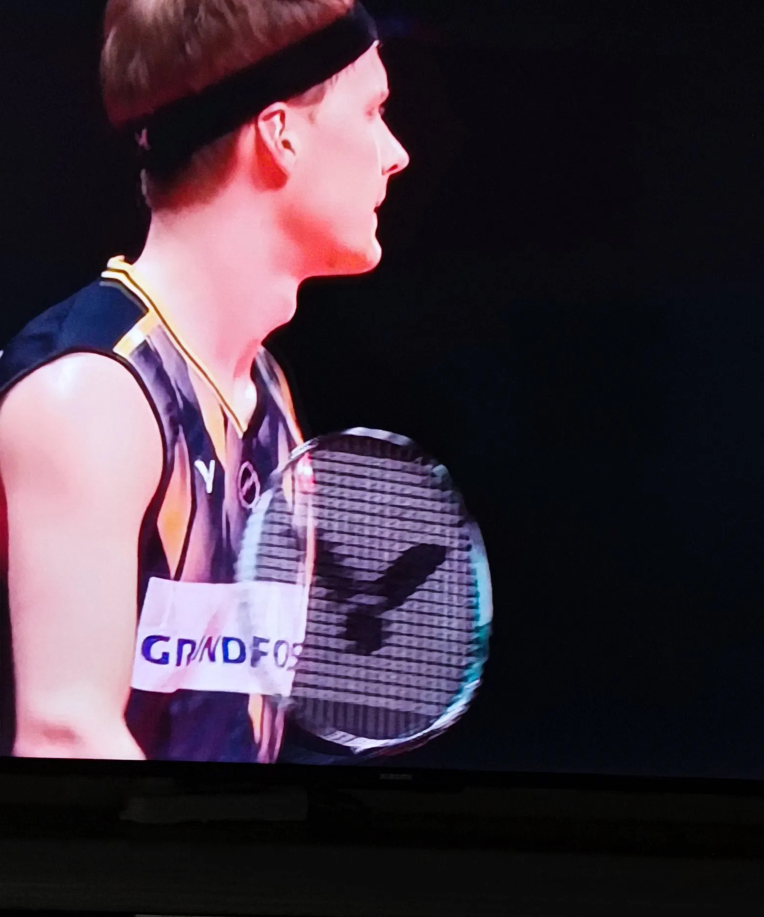 爱游戏在线-德国队鏖战法国队，石宇奇高光表现