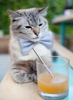 蓝桥史诗，旧将归来导演逆转，德布劳内刷新助攻王传奇