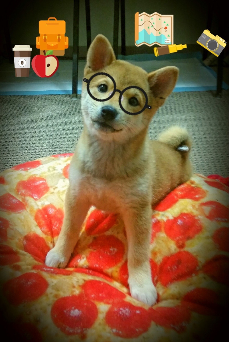 爱游戏入口-联映的赢家基因，当辽宁铁血与塔图姆接管并肩闪耀