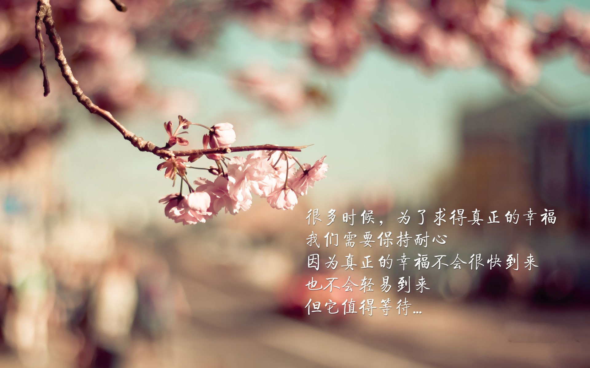 东方闪电降临亚平宁,孙兴慜助AC米兰击溃卡塔尔劲旅