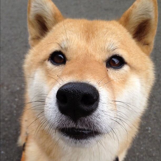 超载时刻，当波兰的哨响遇见托尼的接管—体育史上不可复制的独一性