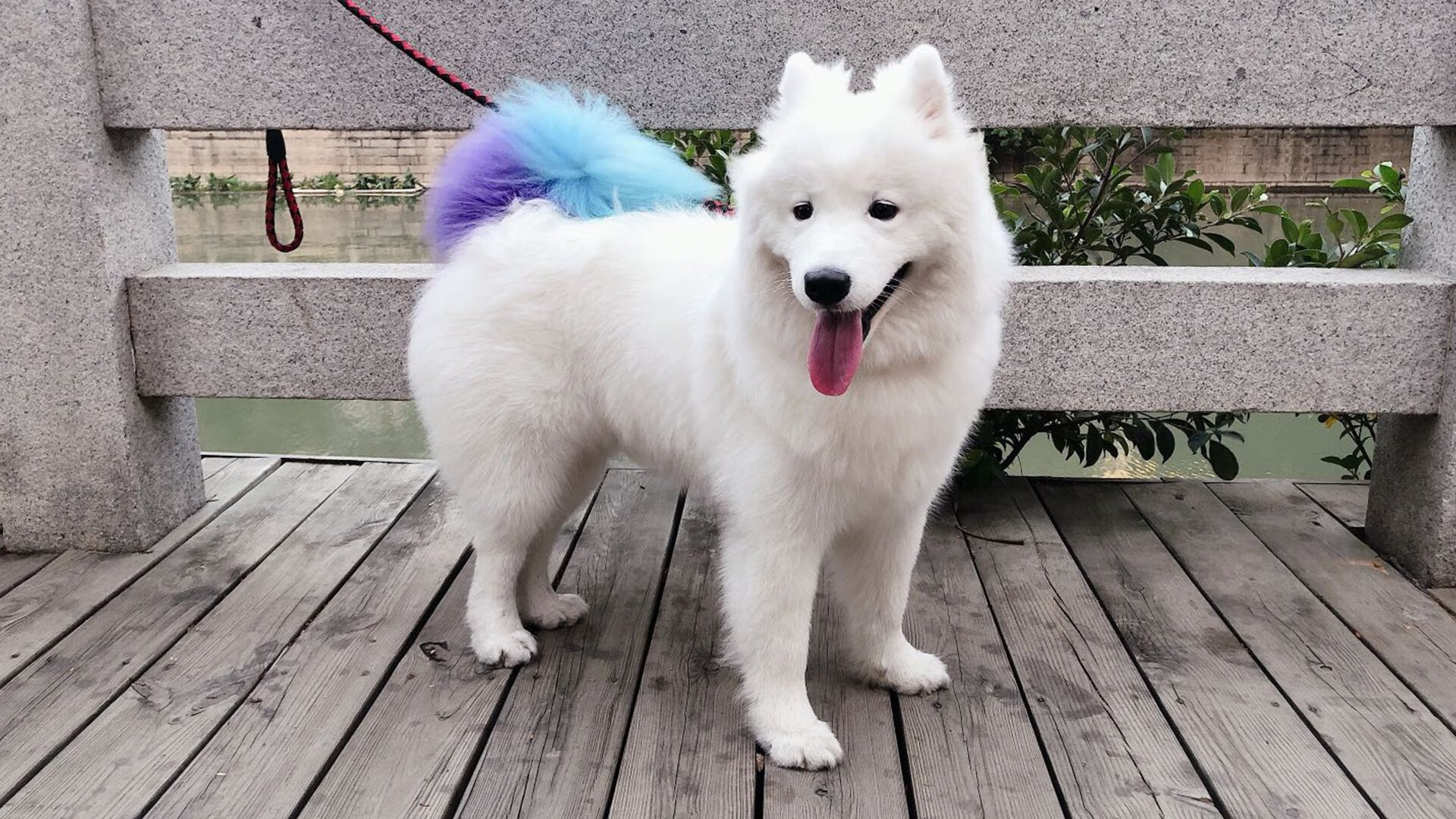 爱游戏在线-解锁无解，拉文以一敌百，山西队横扫国王的战术密码