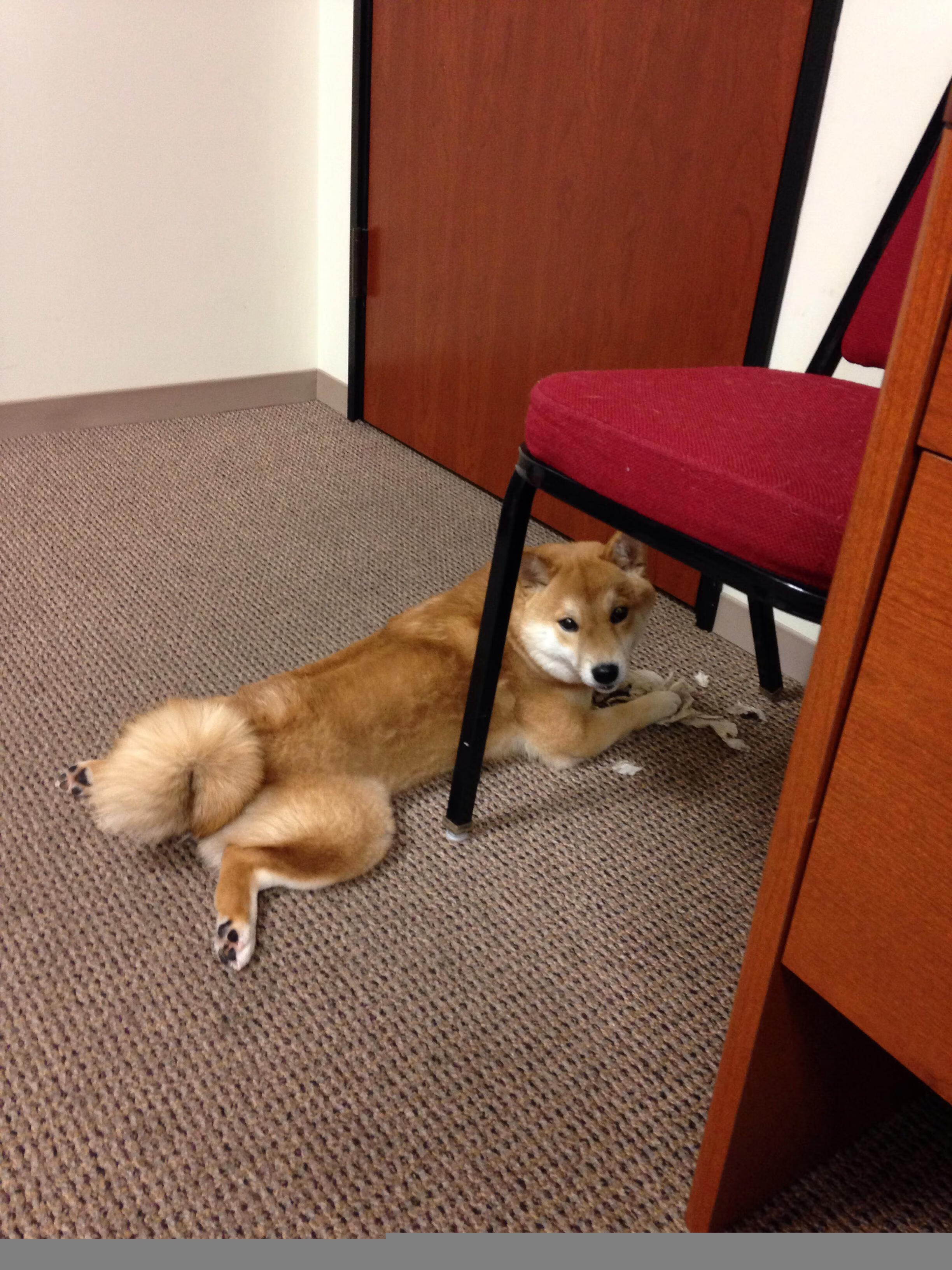 关键先生穆勒一击致命！西班牙行云流水却难挡希腊坚韧逆袭