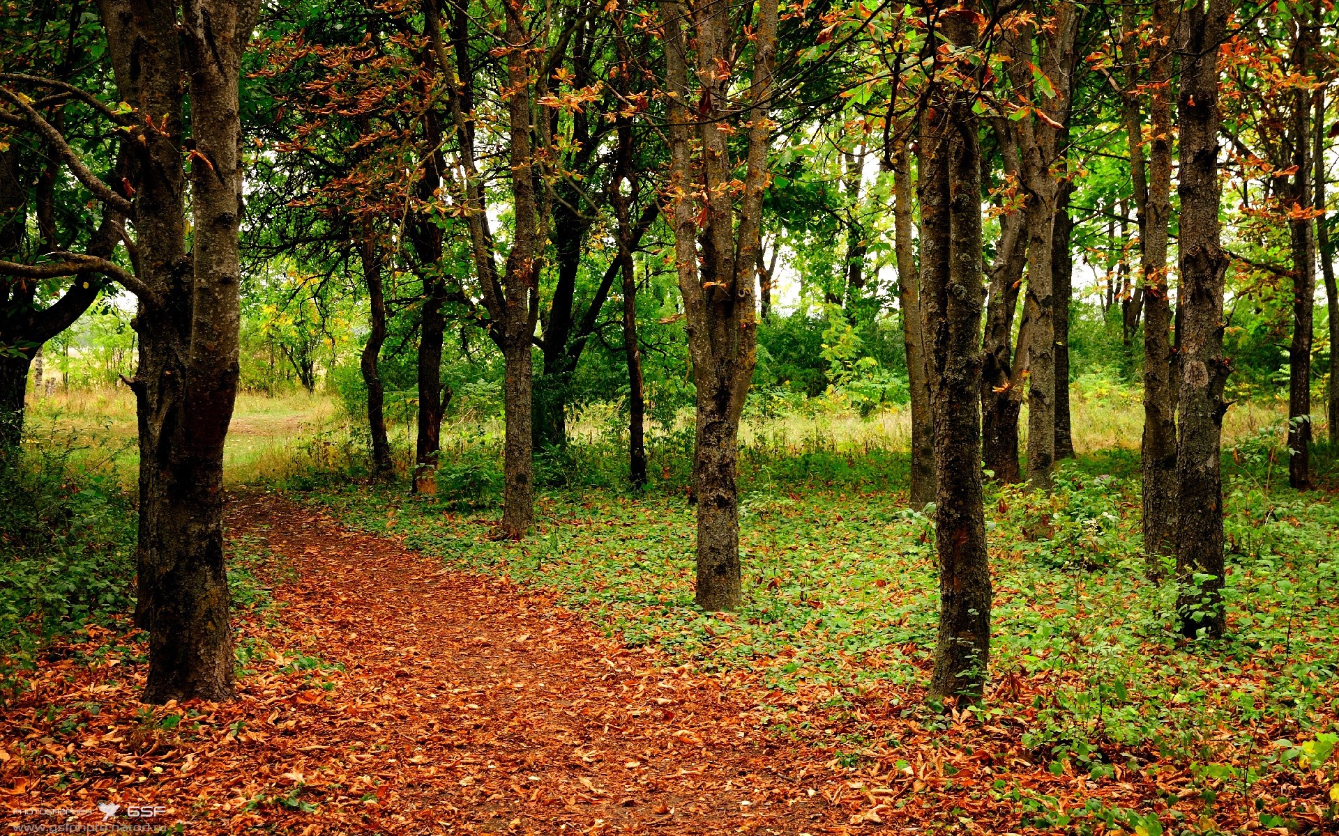 当东方铁壁遭遇西岸旋风,解析保罗如何成为攻防转换的节拍器