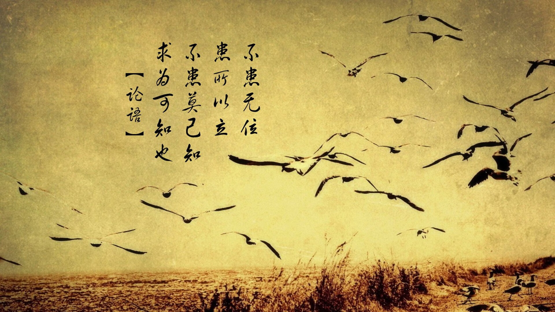 极光与桑巴的方程，当冰岛盾墙遇上孔德的无解解