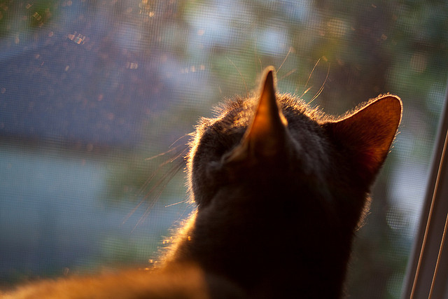 从碾压到救赎,卡塞米罗的关键时刻扭转战局
