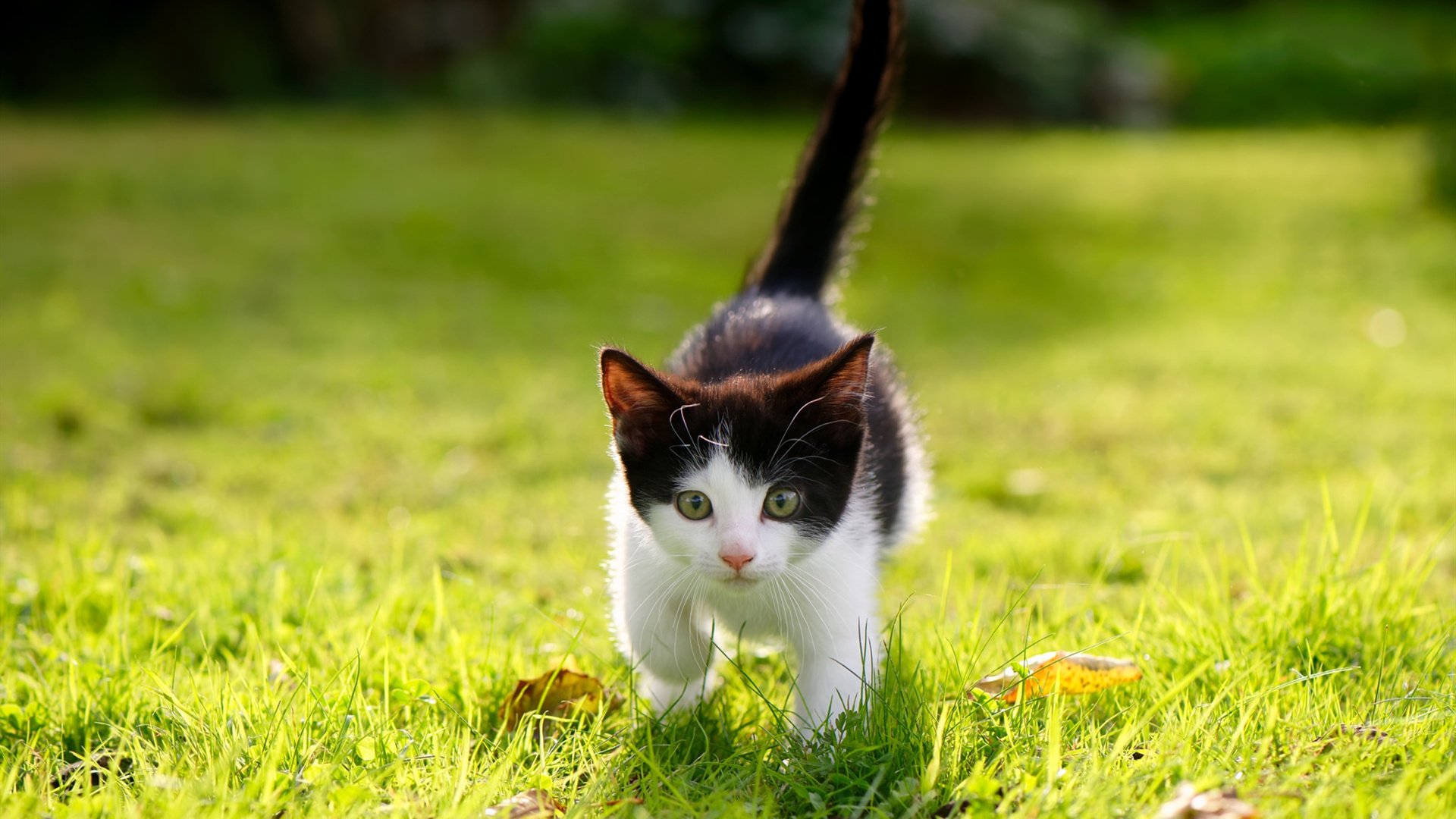 我为你构思了几个不同角度的标题，并选择其中一个撰写了文章