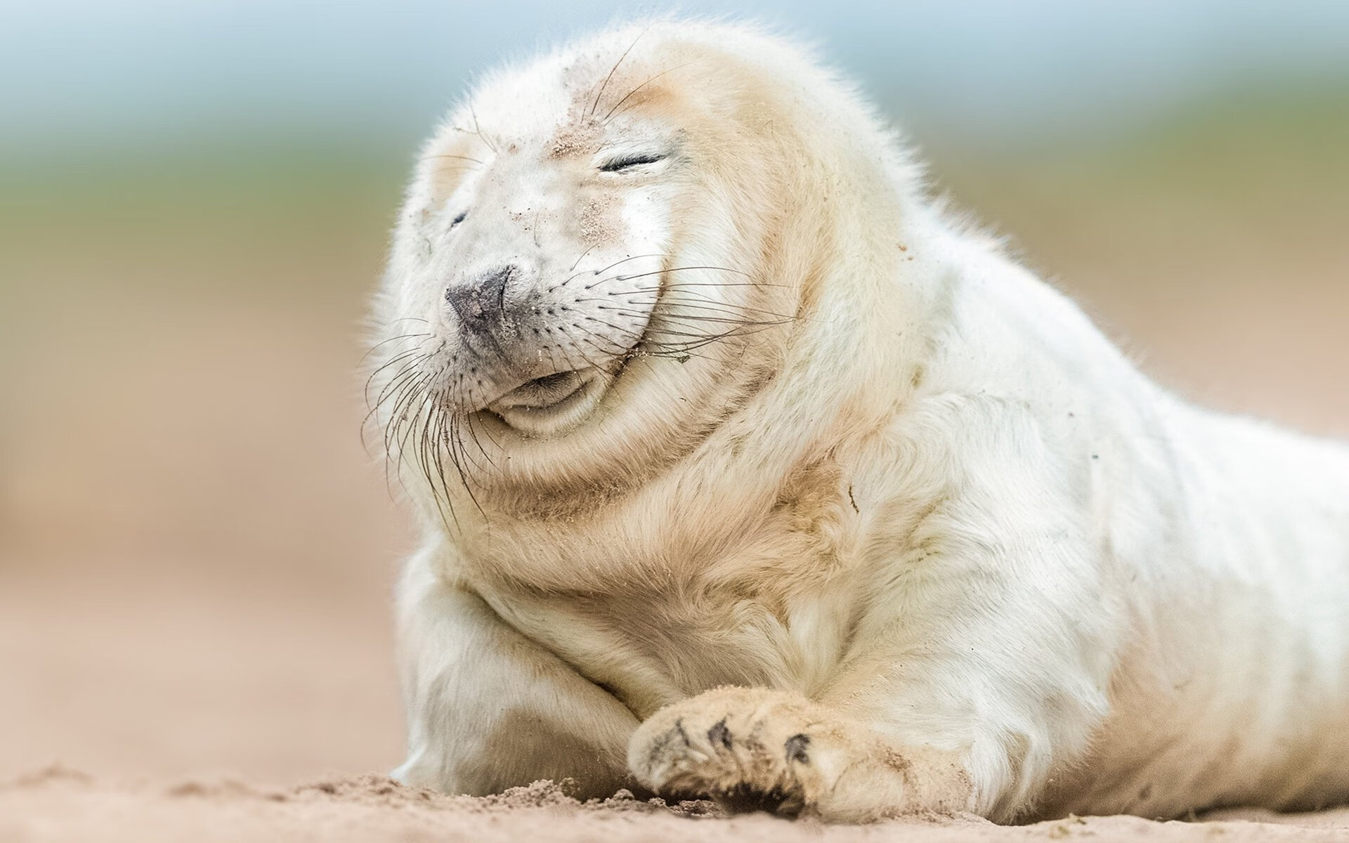 当篮球之神降临绿茵场,文班亚马的欧冠史诗之夜