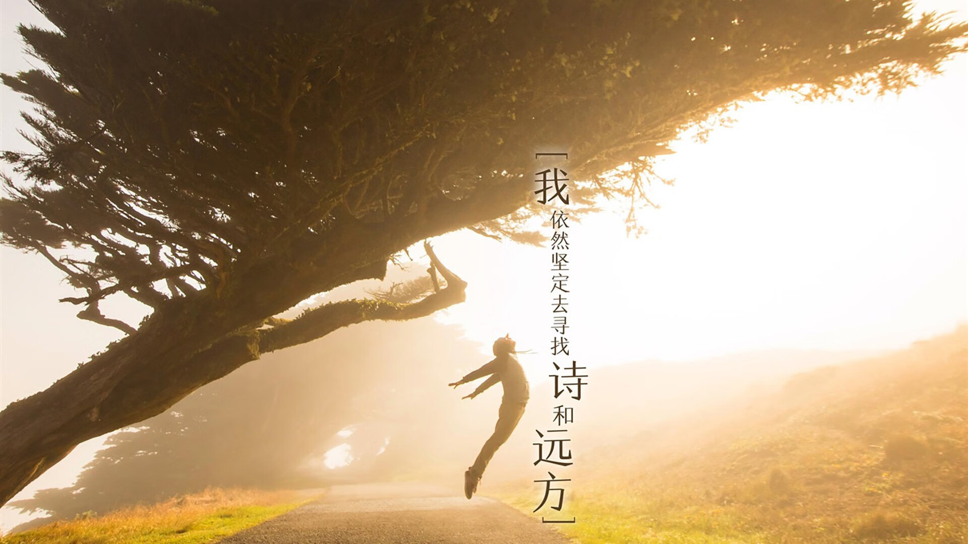 荒诞与真实的合奏，当金玟哉成为洪都拉斯逆袭的关键先生