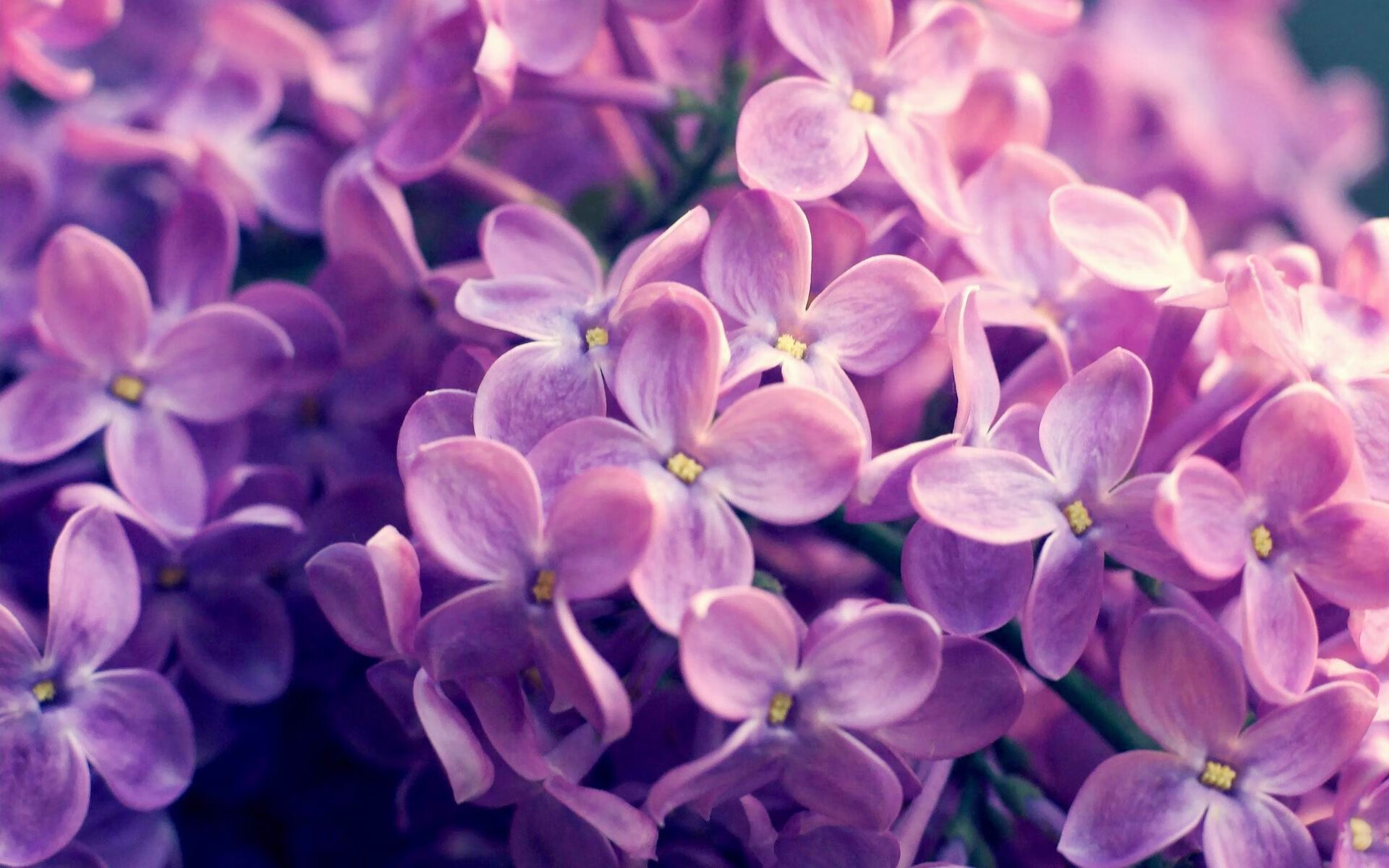 休城惊雷起！末节17-0死亡洪流，霍勒迪临危救主上演小人物史诗