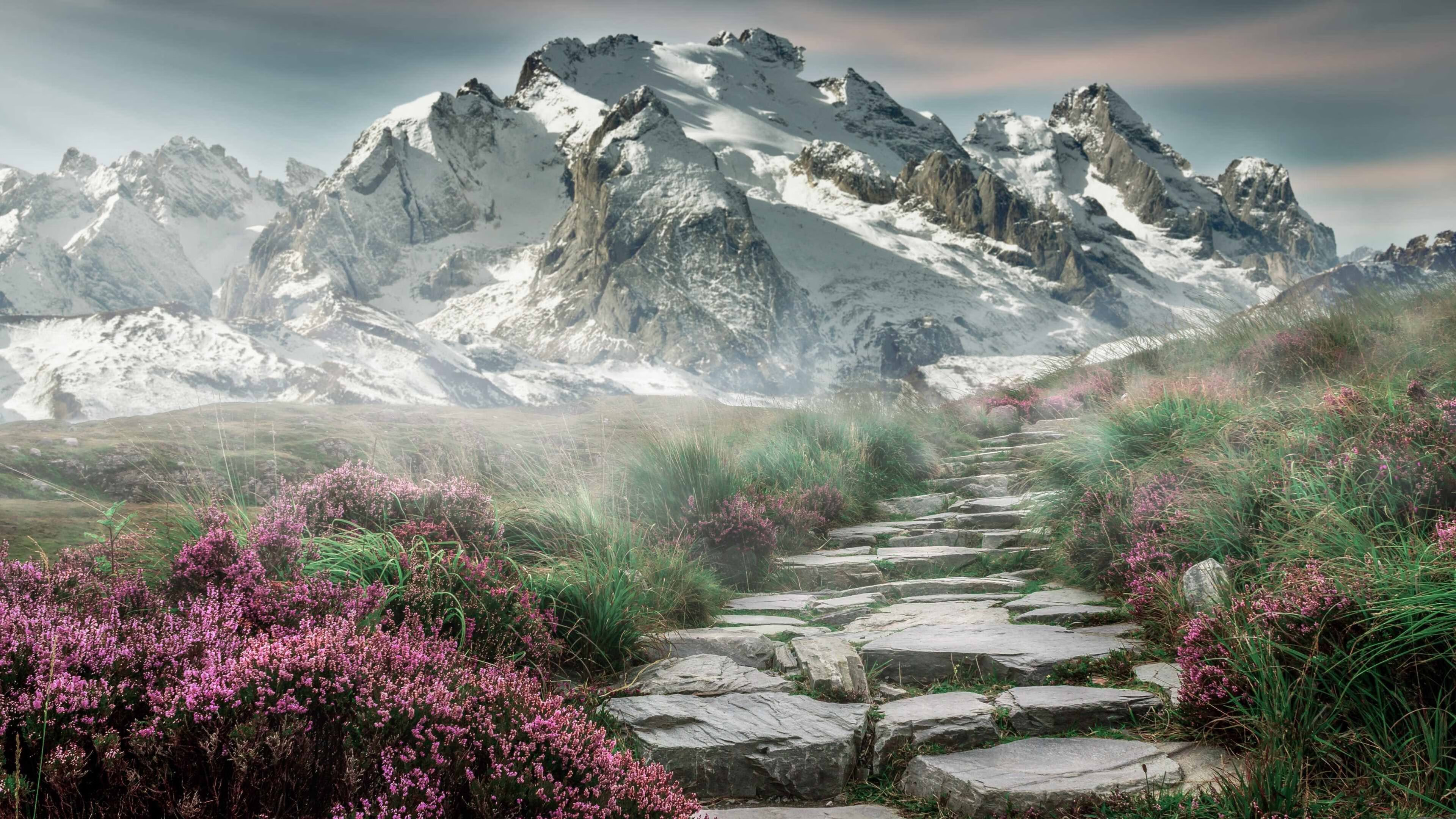 体育的瞬间与艺术，灰熊的绝命三分与伦纳德的冷静接管